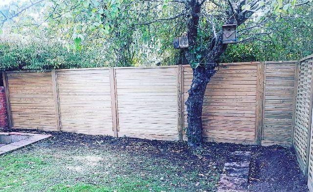 Tongue and groove fence panels in a garden in Piddington, Oxfordshire